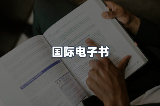 国际电子书